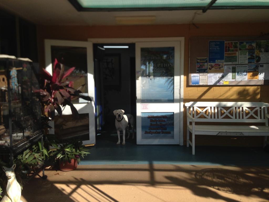 Carnarvon Caravan Park Εξωτερικό φωτογραφία